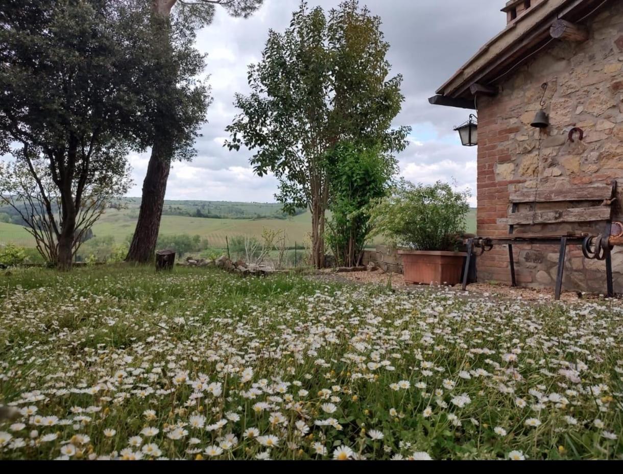 Il Giardino Del Chianti Apartment เซียนา ภายนอก รูปภาพ