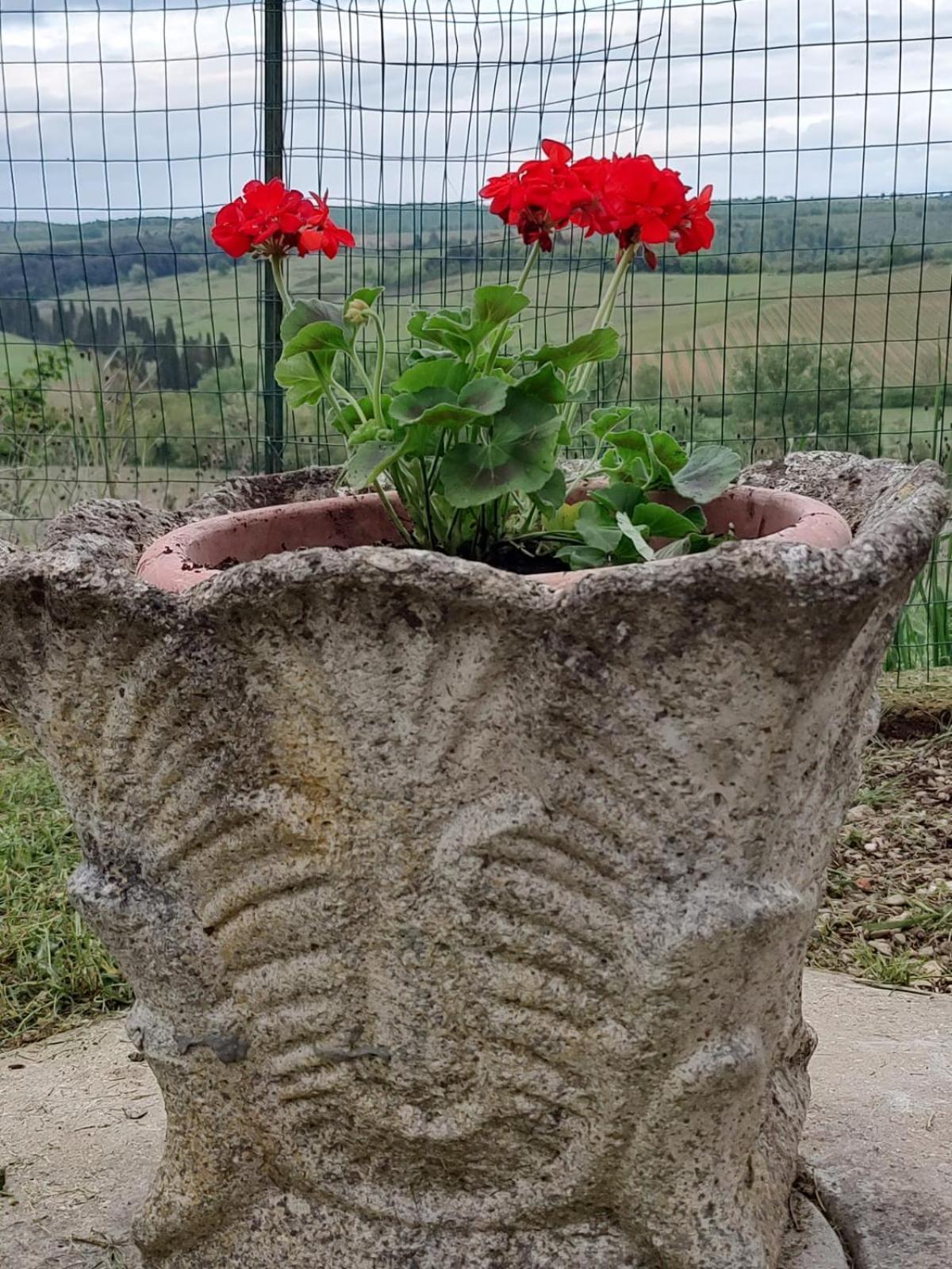 Il Giardino Del Chianti Apartment เซียนา ภายนอก รูปภาพ