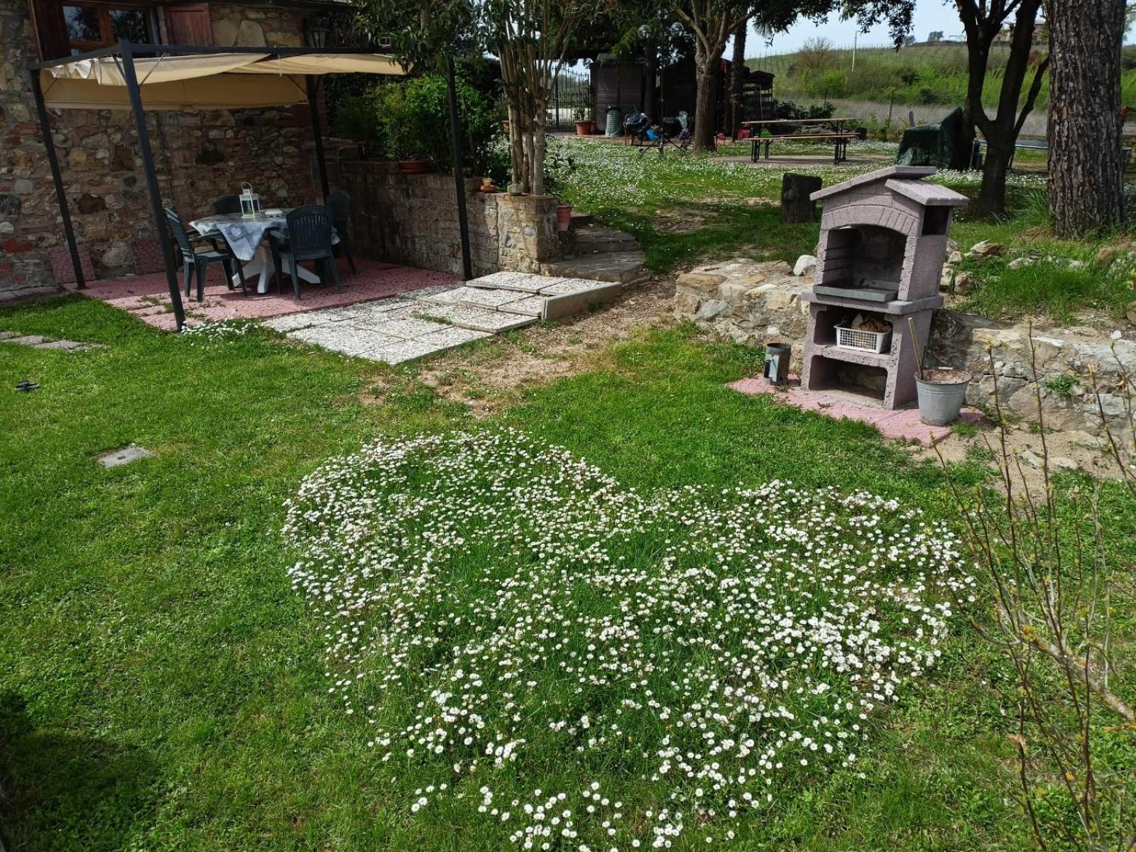 Il Giardino Del Chianti Apartment เซียนา ภายนอก รูปภาพ